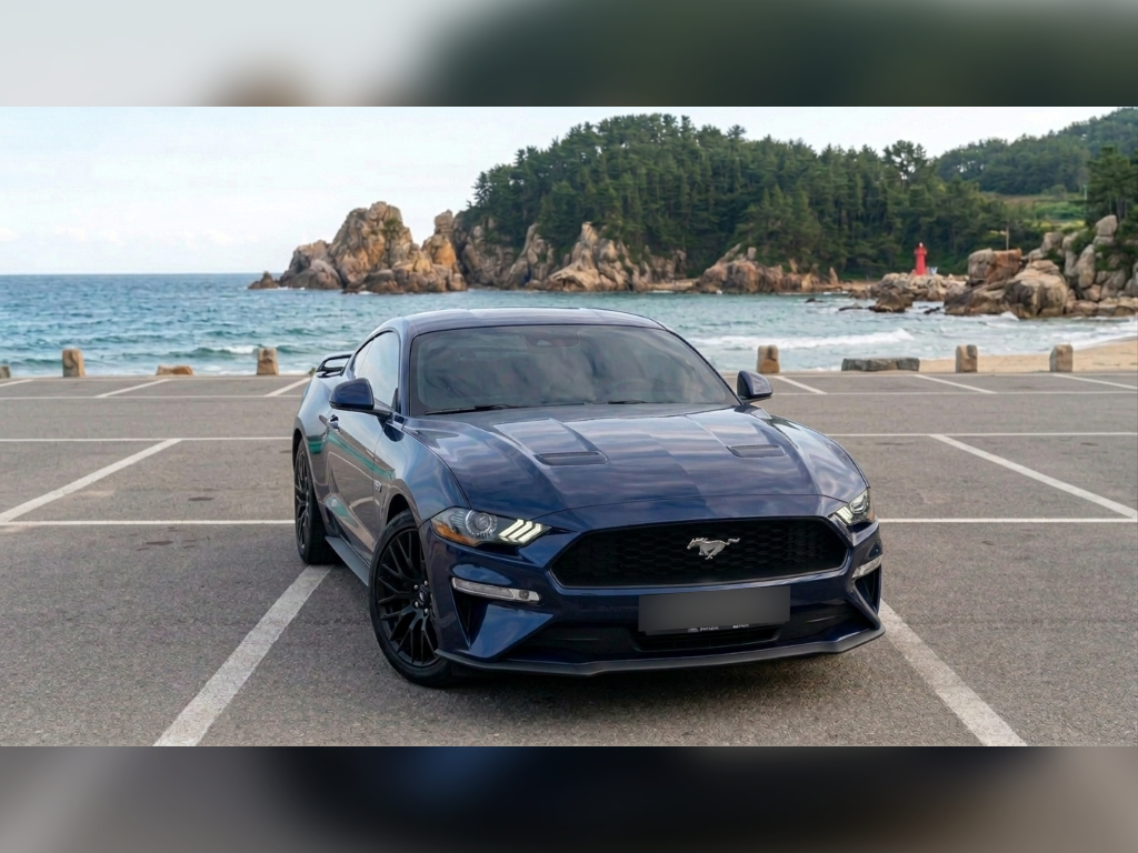 포드 머스탱 2019 스포츠카 휘발유